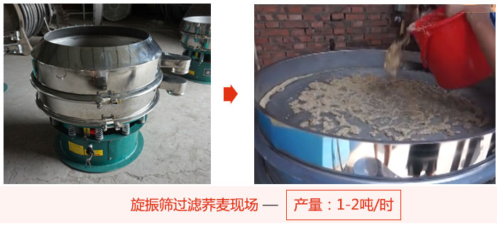 旋振篩過濾蕎麥現(xiàn)場(chǎng)，產(chǎn)量可達(dá)2噸每小時(shí)。